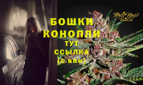 PSILOCYBIN Богородицк