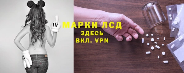гашик Богданович