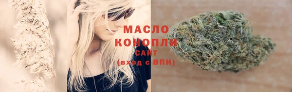 гашик Богданович