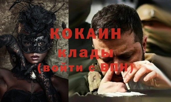гашик Богданович