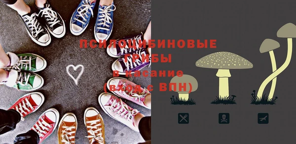 PSILOCYBIN Богородицк