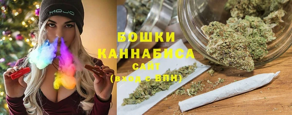 гашик Богданович