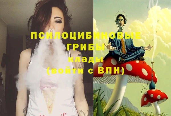 гашик Богданович