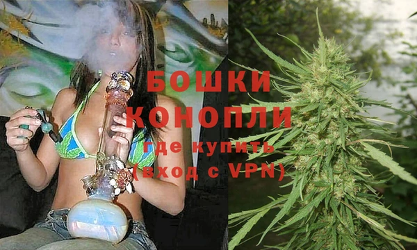 гашик Богданович