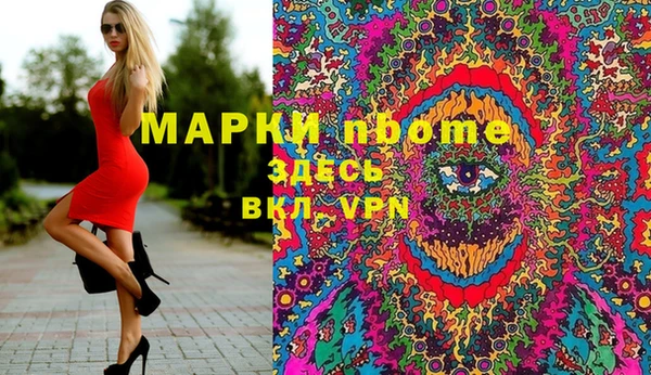 гашик Богданович