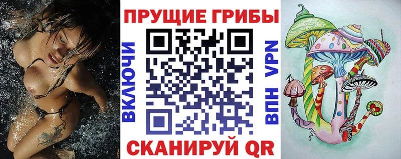 kraken рабочий сайт  Рязань  Галлюциногенные грибы прущие грибы 